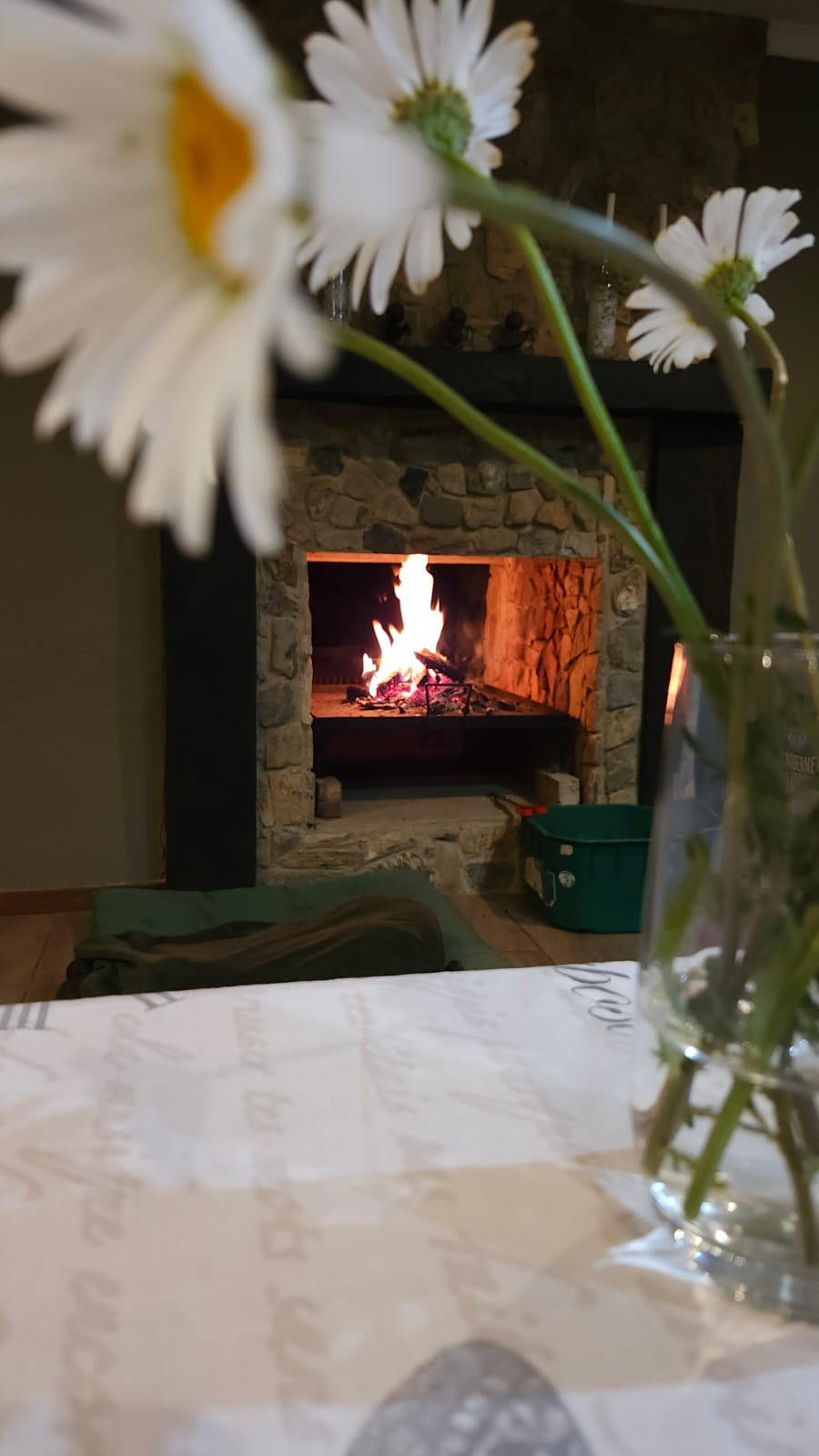 Fireplace seen across the dining table