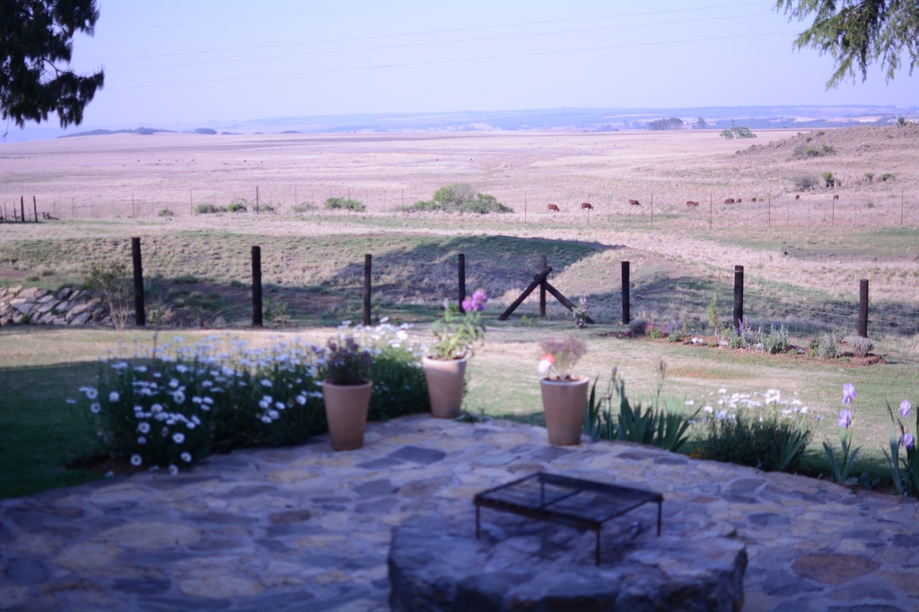 Stone patio and garden with cattle grazing beyond the fence