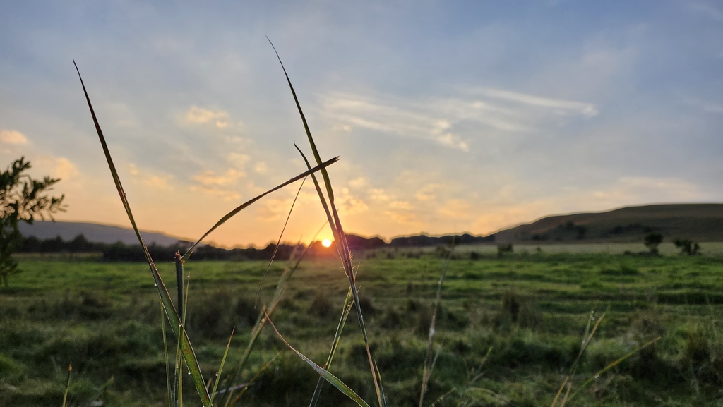Sunrise over the open fields